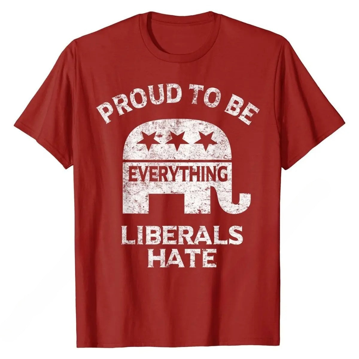 Proud To Be Everything Liberals Hate T-Shirt