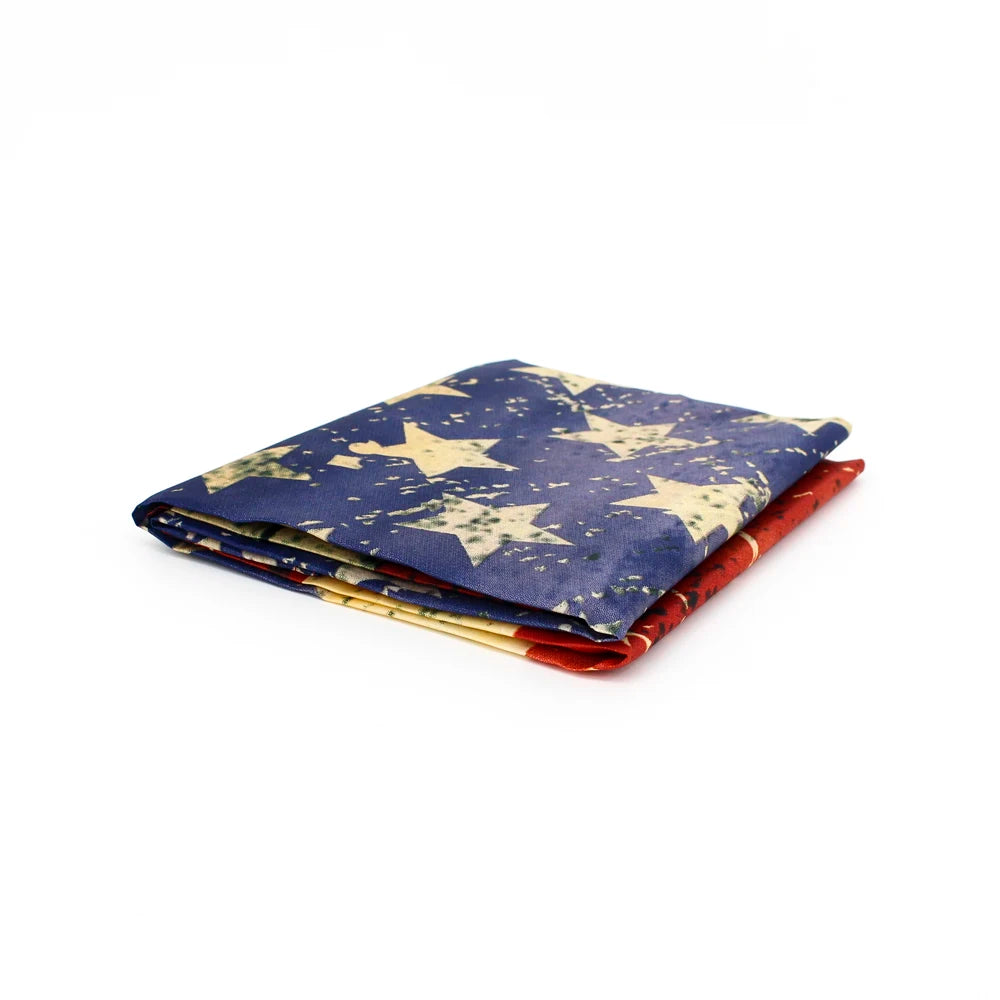 Vintage Stained American Flag